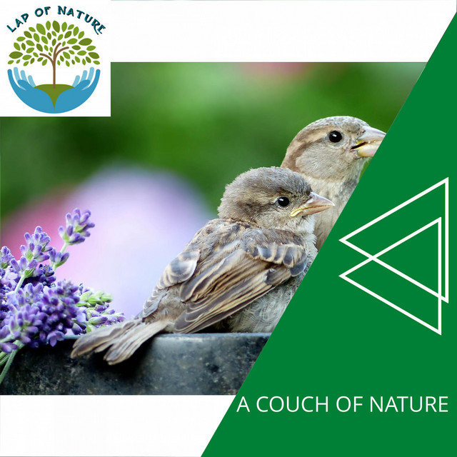 A Couch of Nature cover art