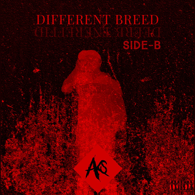 Different Breed Side-B cover art