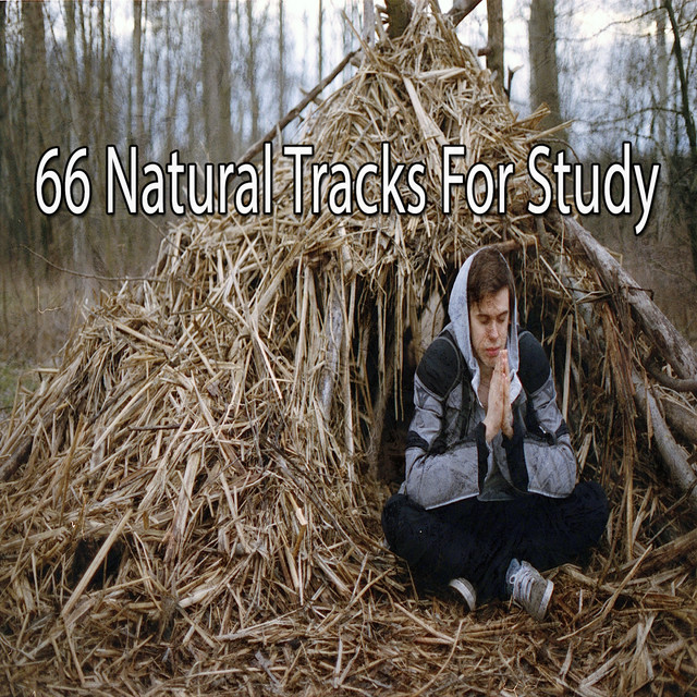 66 Natural Tracks For Study - Album by Guided Meditation | Spotify