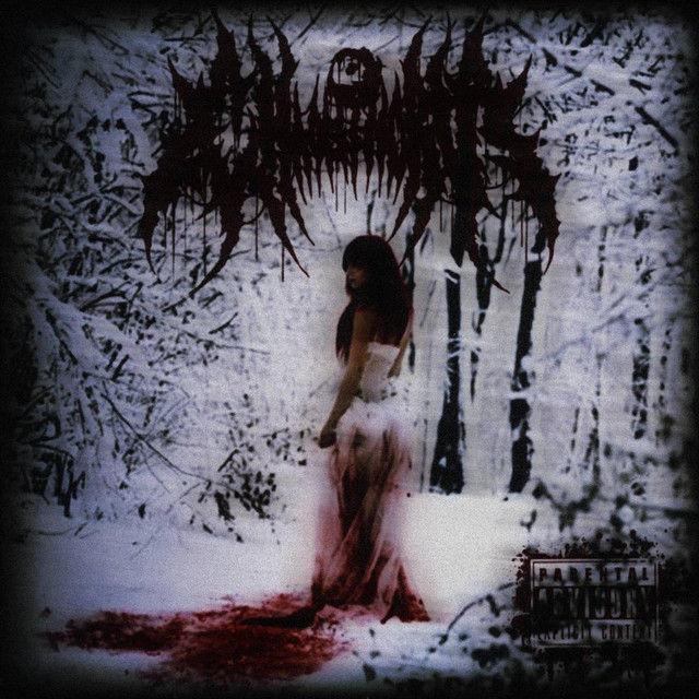 Echoes From The Grave