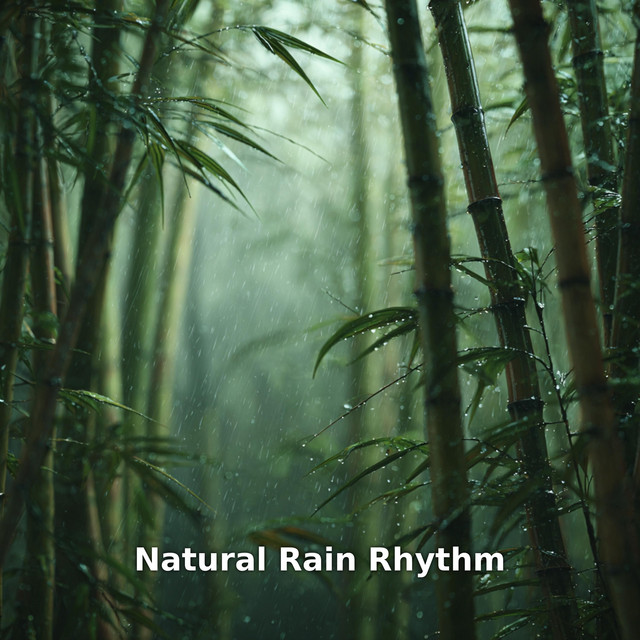 Natural Rain Rhythm by Bali Rain