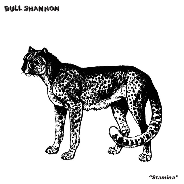 Bull Shannon