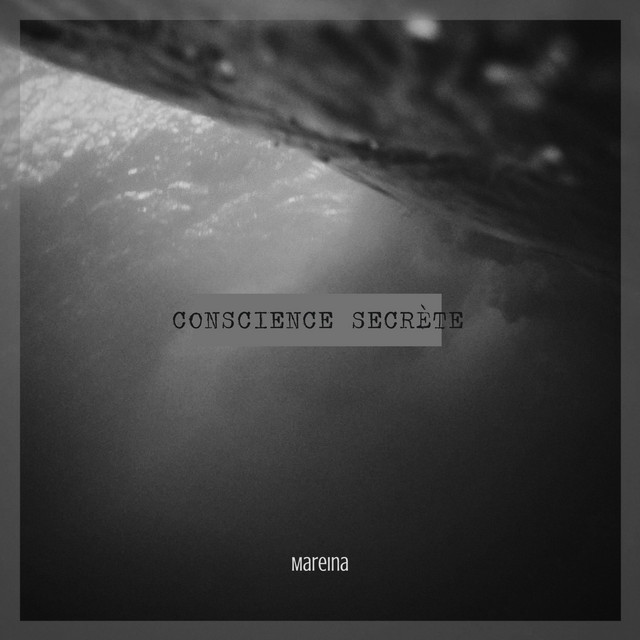 Conscience secrète cover art