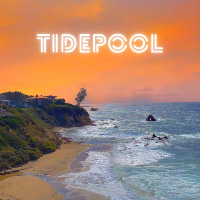 Tidepool cover art