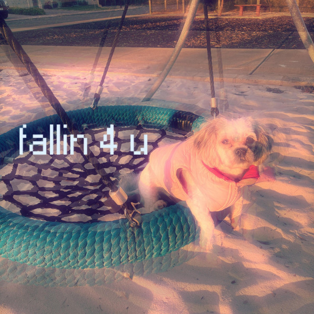 fallin 4 u cover art