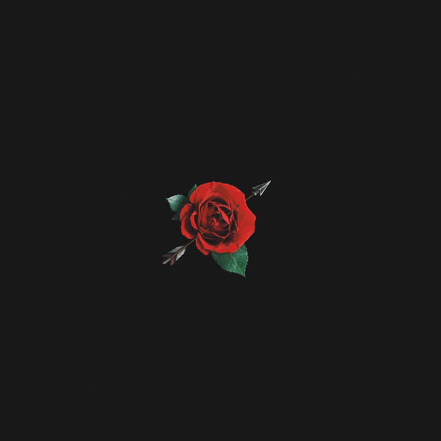 Rose cover art