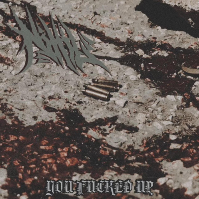 YOU FUCKED UP cover art