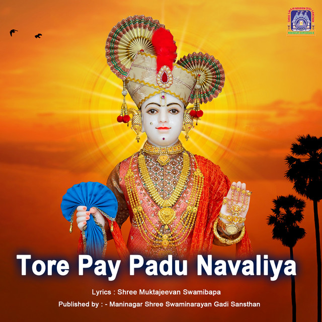 Tore Pay Padu Navaliya album image
