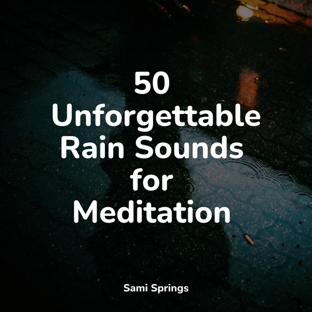 50 Unforgettable Rain Sounds for Meditation - Album by Sleep Waves ...