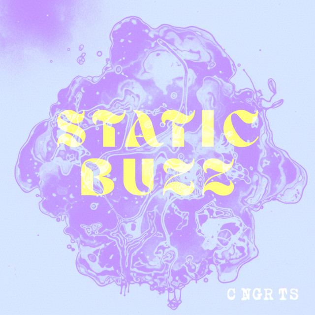 Static Buzz cover