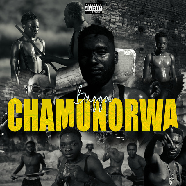 Bagga - Chamunorwa