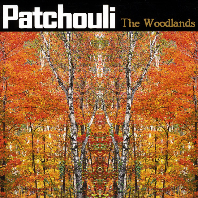 The Woodlands cover
