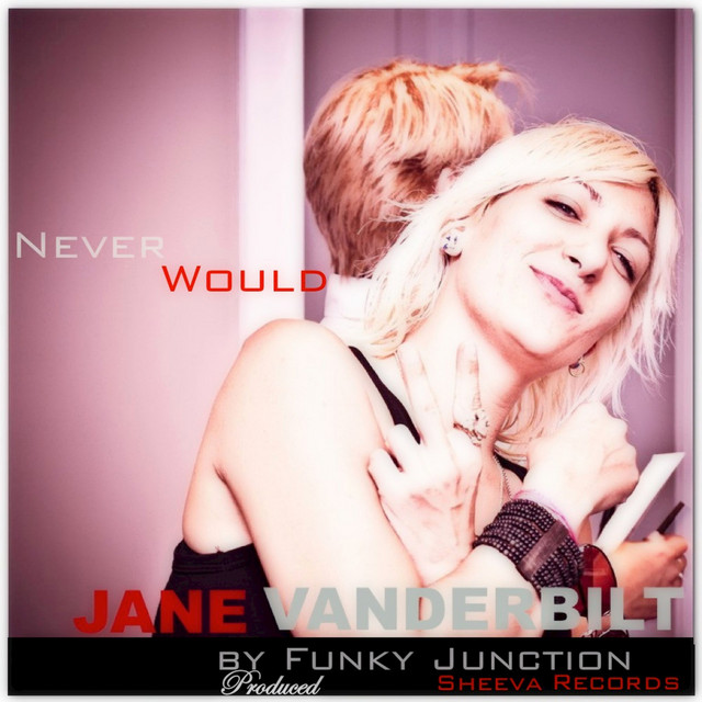 Never Would (Remixes) cover art