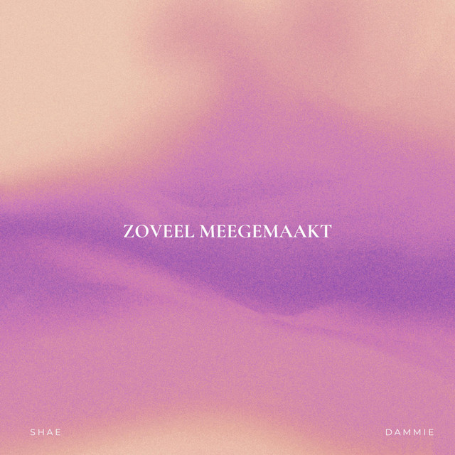 Zoveel Meegemaakt