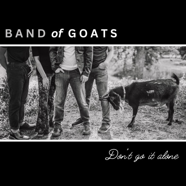 Don't Go It Alone cover art