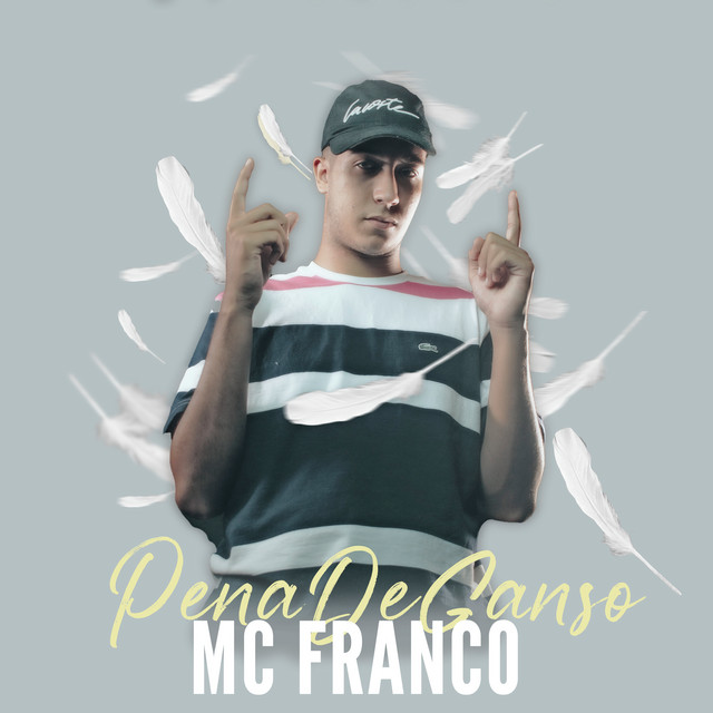 Pena de Ganso