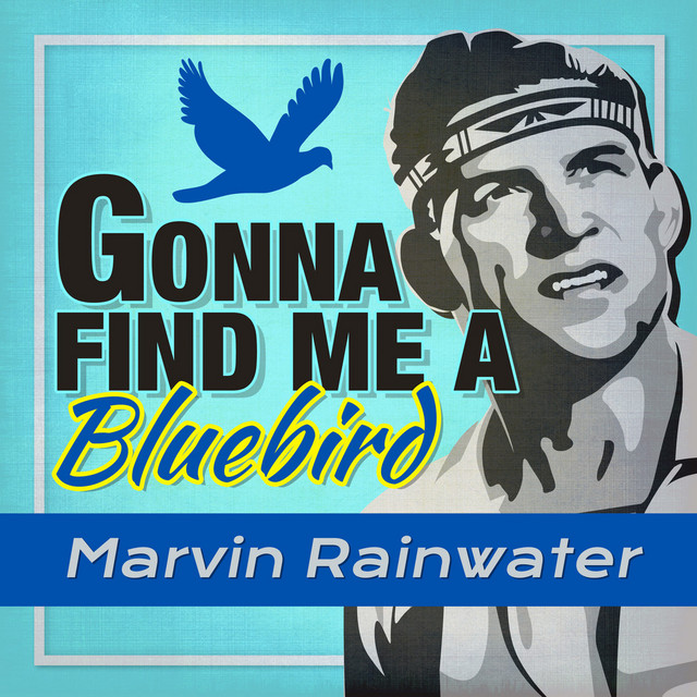 Gonna Find Me a Bluebird (Rerecorded) cover