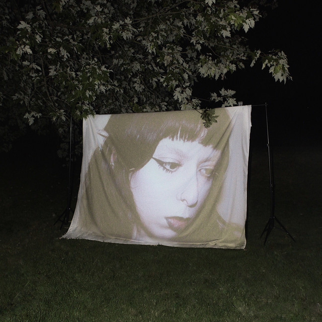 The Gardener cover art