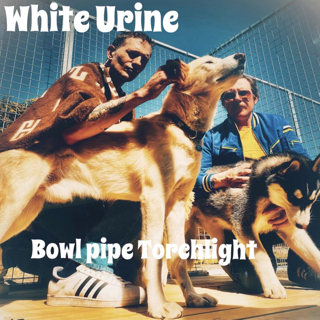 Bowl pipe Torchlight cover art