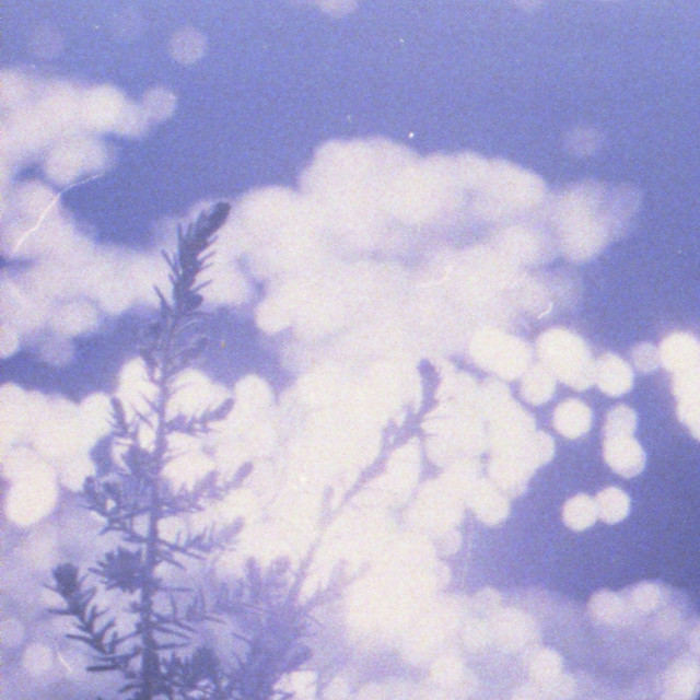 Through That Garden Gate cover art