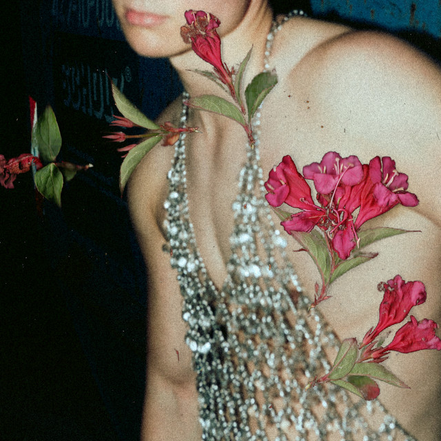sie cover art