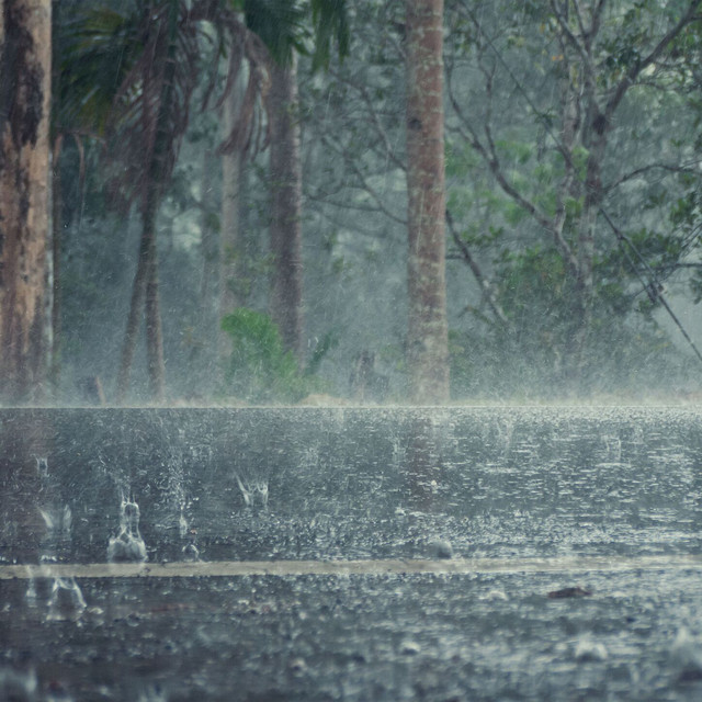 Rain Drops Dancing on the Car Hood