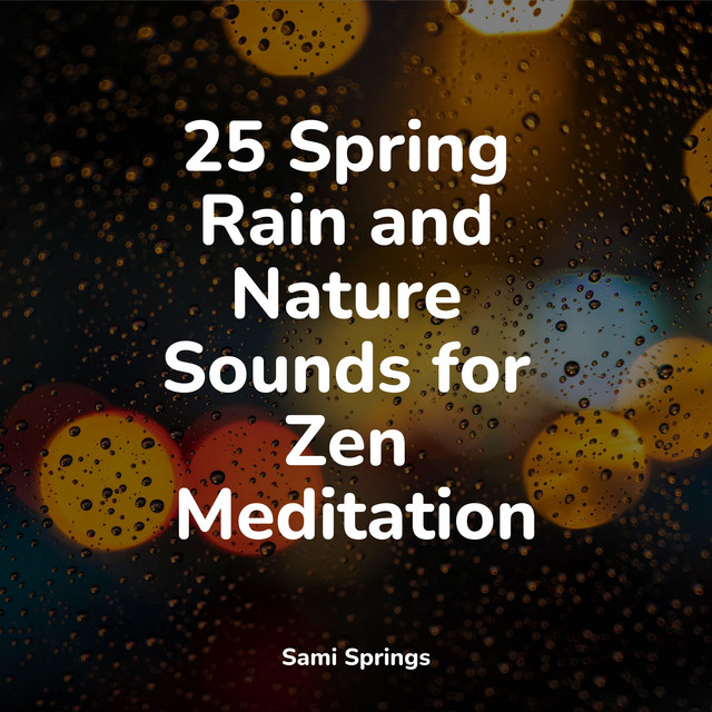 25 Spring Rain and Nature Sounds for Zen Meditation - Album by Deep ...