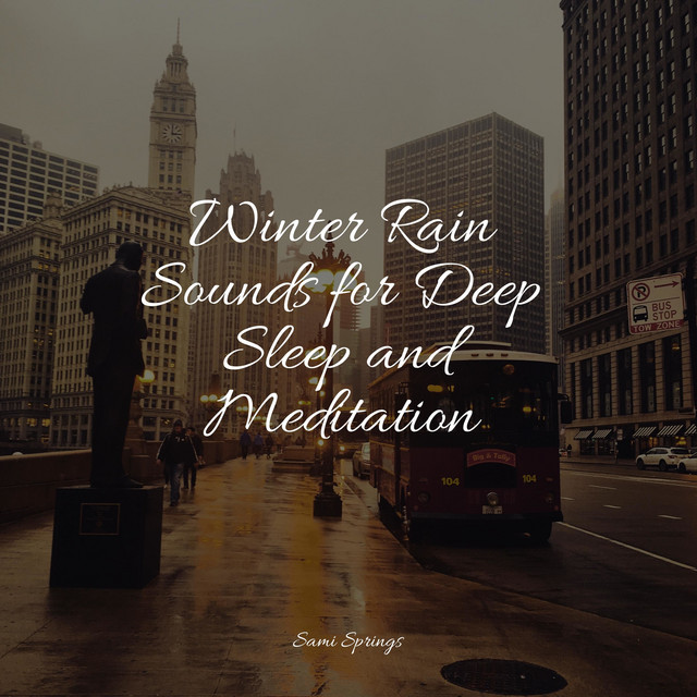 Winter Rain Sounds for Deep Sleep and Meditation - Album by Rain Hard ...