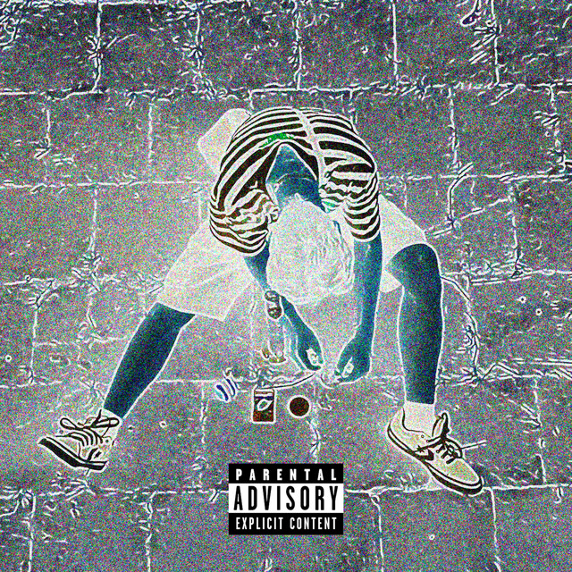 ZIJEMEVESMIR cover art
