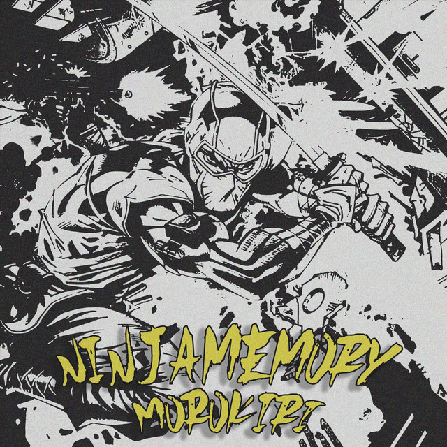Ninja Memory cover art