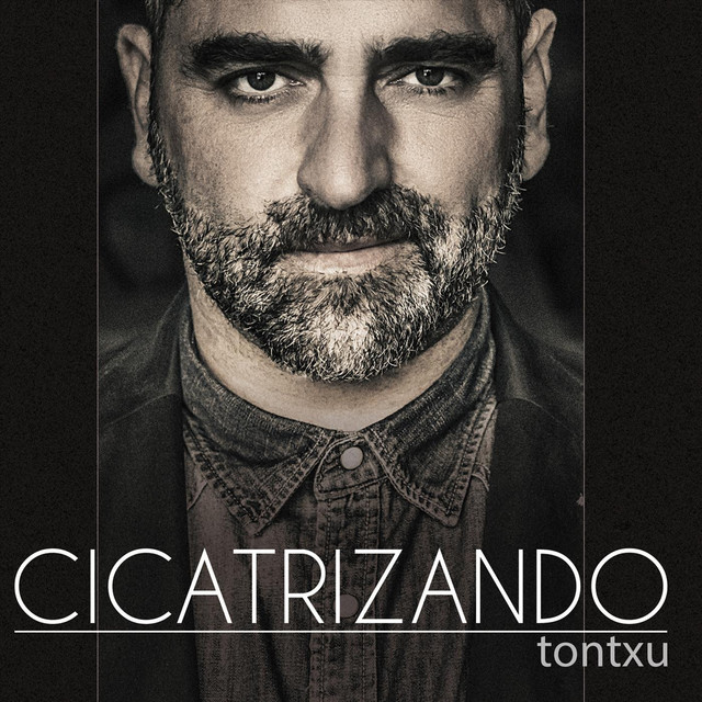 Cicatrizando cover art
