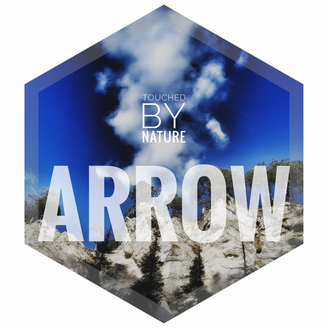Arrow cover