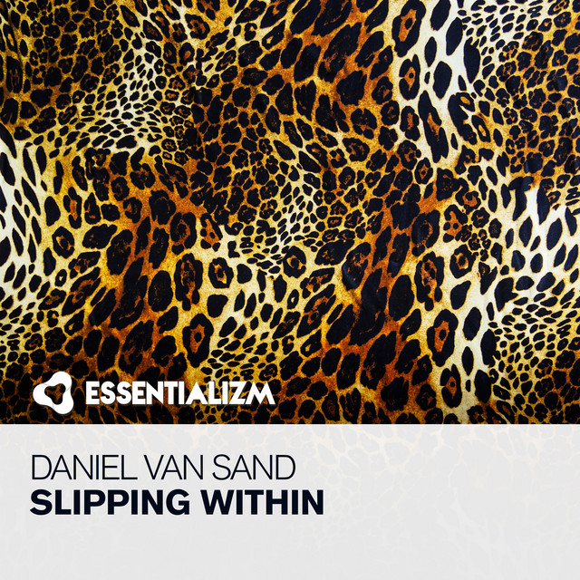 Slipping Within cover