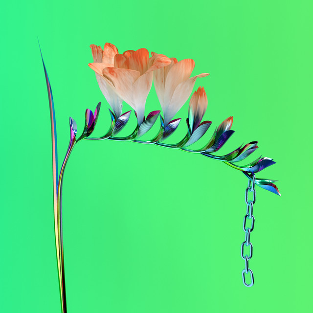 Skin Companion EP I cover art
