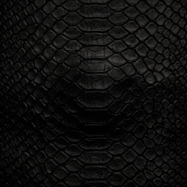 Reptiles cover art