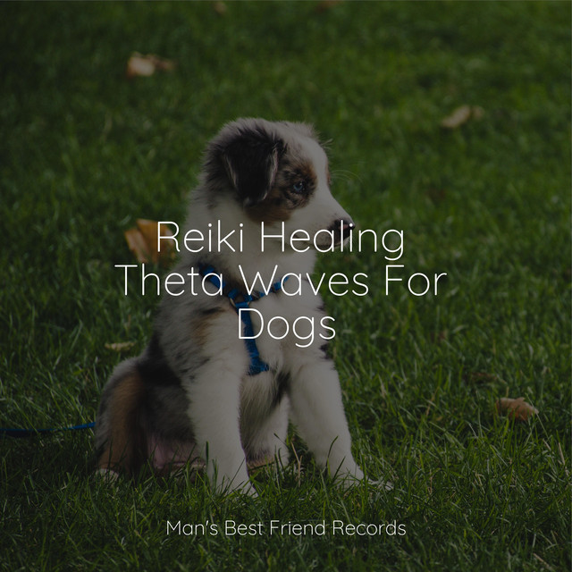 Unforgettable Songs For Dogs | Deep Sleep and Total Chilling Out ...