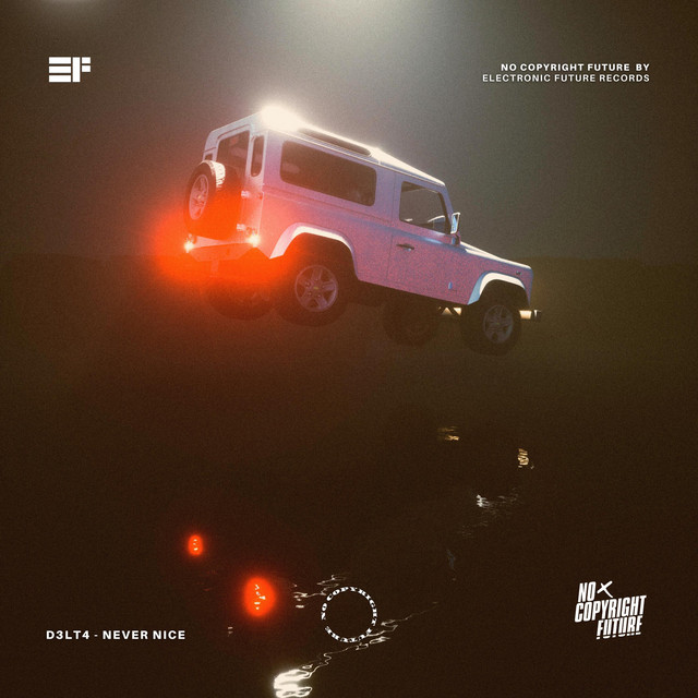 Never Nice cover art
