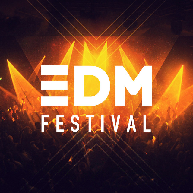EDM Festival cover art