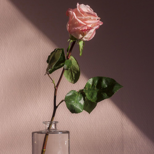 Falling cover art