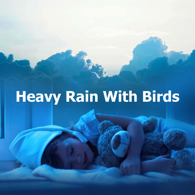 Heavy Rain With Birds - Album by Sleep Baby Sleep | Spotify