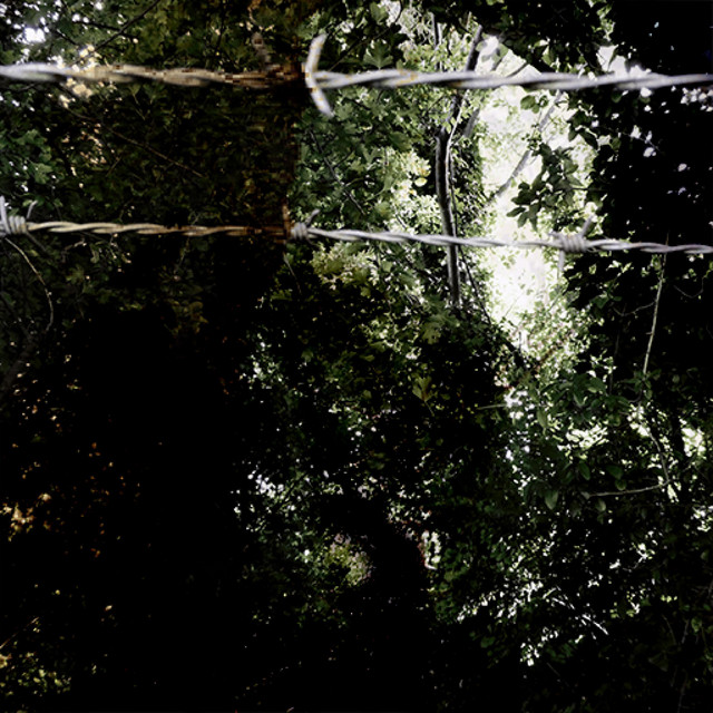 antlergirl cover art