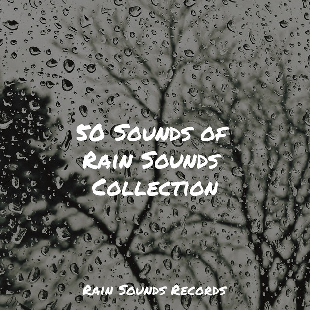50 Sounds of Rain Sounds Collection - Album by Sonidos de la Naturaleza ...