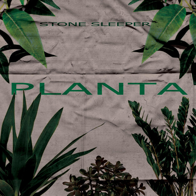 Planta cover art