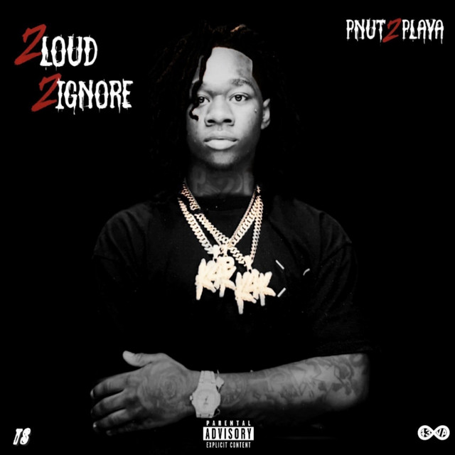 2 LOUD 2 IGNORE cover art