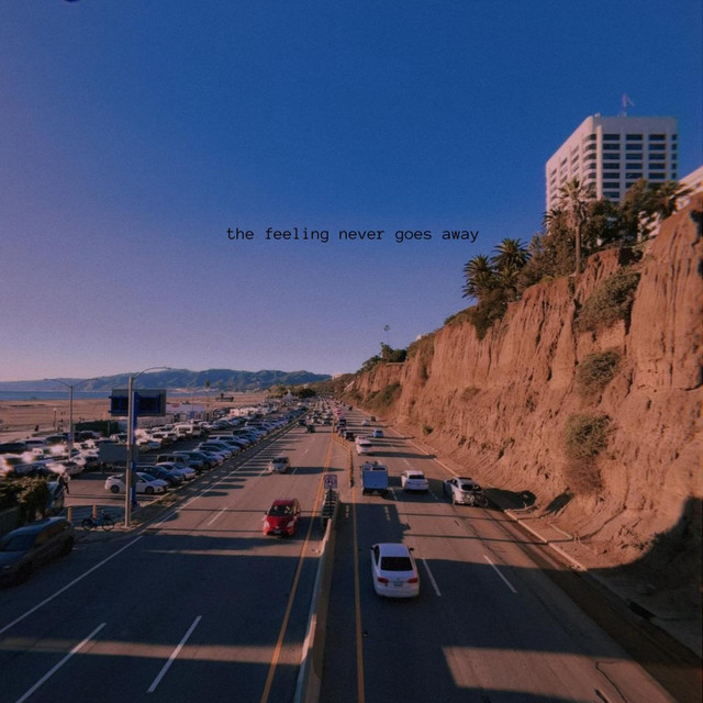 the feeling never goes away - acoustic