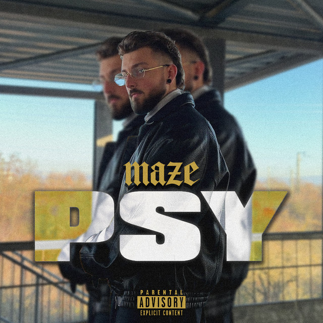 Psy cover art