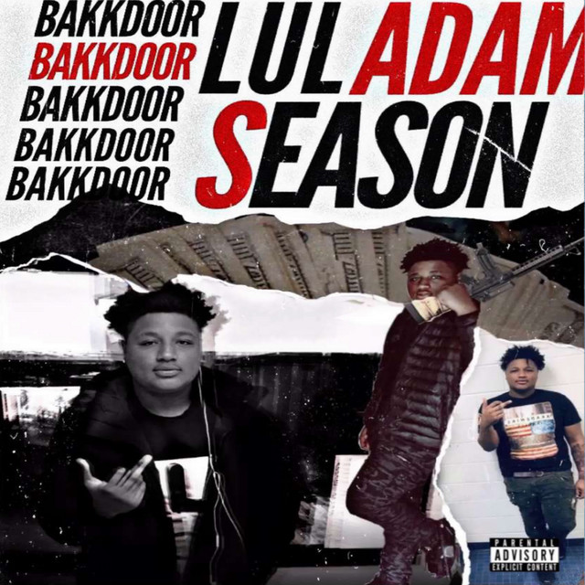 BakkDoor Season cover art