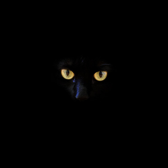 Bad Guy cover art