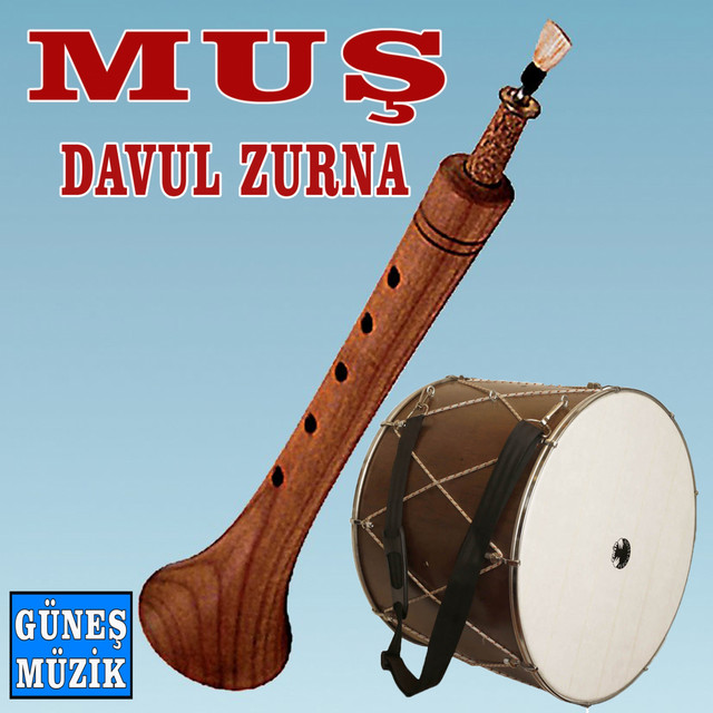 Muş Davul Zurna (Halaylar) cover