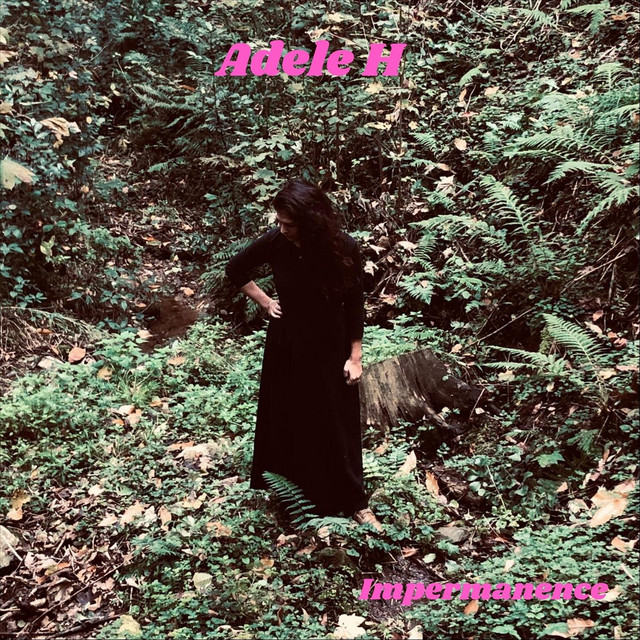 Impermanence cover art